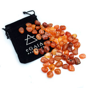 Φυσικό πέτρωμα Καρνεόλη (πούγκι) 21γρ eGAIA.gr