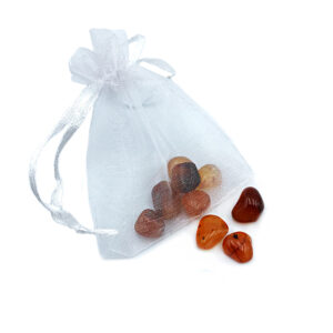 Φυσικό πέτρωμα Καρνεόλη (πούγκι) 21γρ eGAIA.gr